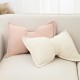 Nordic, Instagram-style living room sofa cushions, bow-knot cushions, and model room bedside cushions with removable and washable covers.